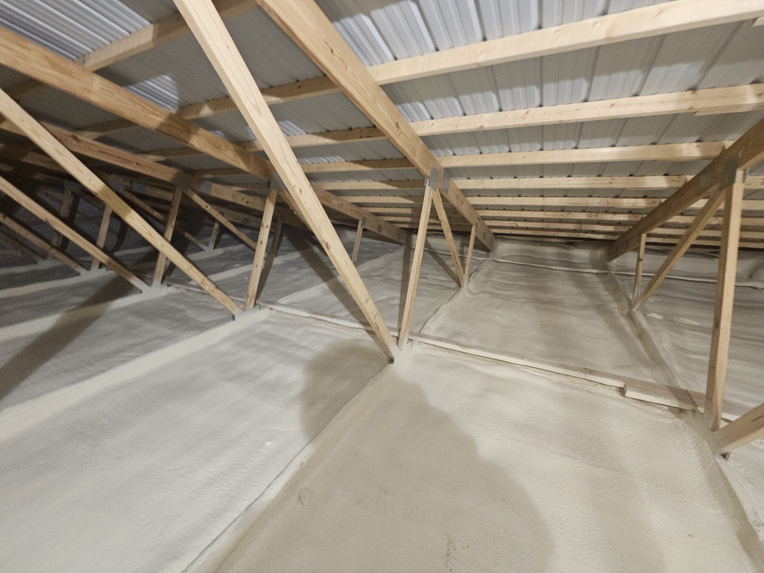 Metal building attic blown-in insulation covering floor between bottom chords